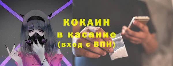 ГАЛЛЮЦИНОГЕННЫЕ ГРИБЫ Абаза